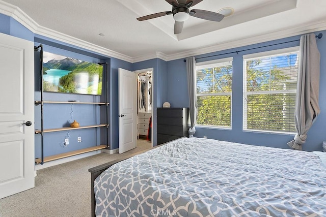 carpeted bedroom featuring crown molding, a tray ceiling, and a spacious closet