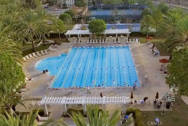 view of swimming pool with a patio