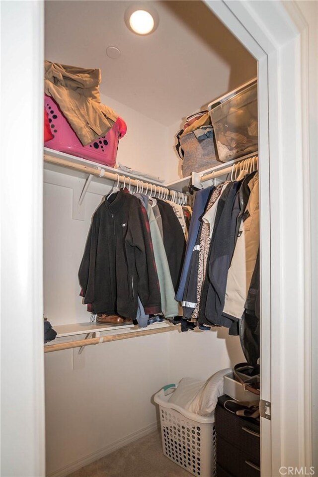 spacious closet with carpet floors