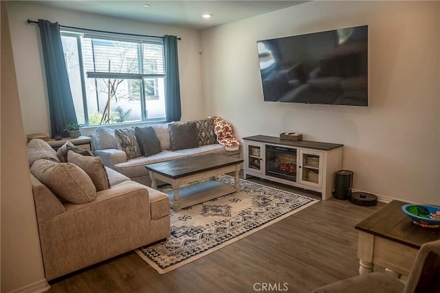 living room with wood-type flooring