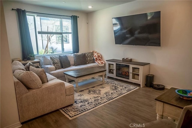 living room featuring hardwood / wood-style flooring