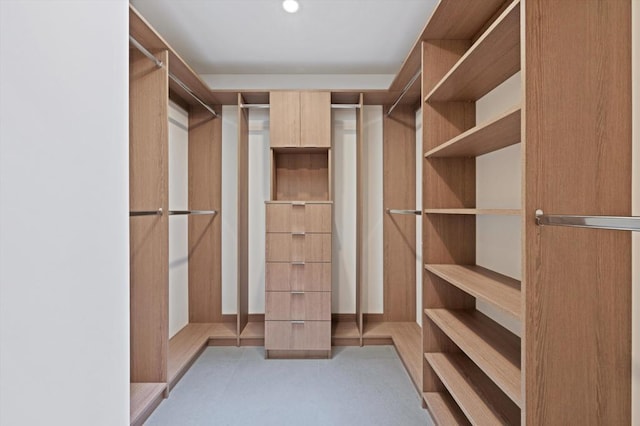 view of walk in closet