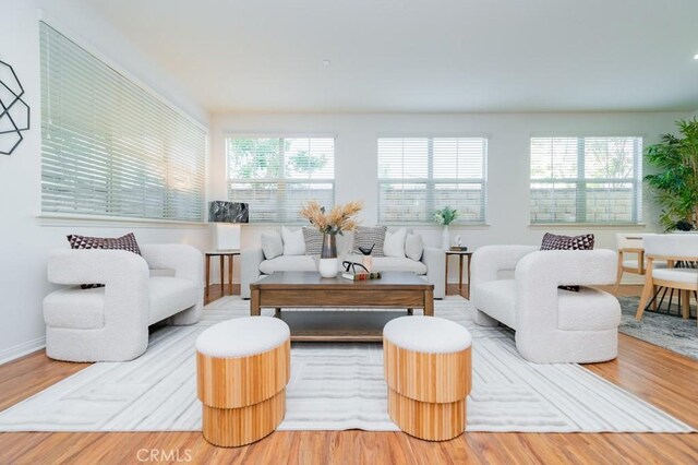 living room featuring hardwood / wood-style flooring