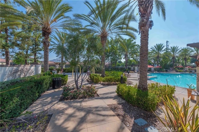 view of swimming pool