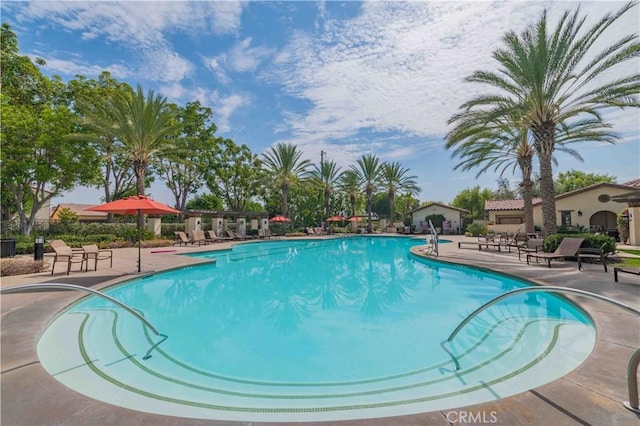 view of swimming pool featuring a patio area