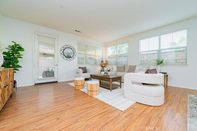 living room featuring light hardwood / wood-style flooring