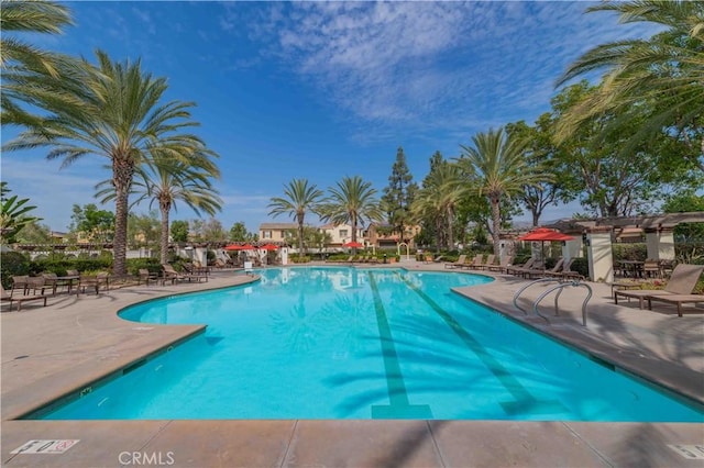 view of swimming pool with a patio and a pergola