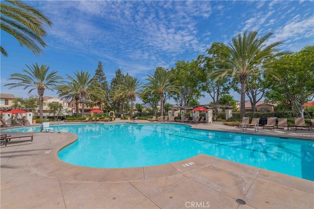 view of pool with a patio