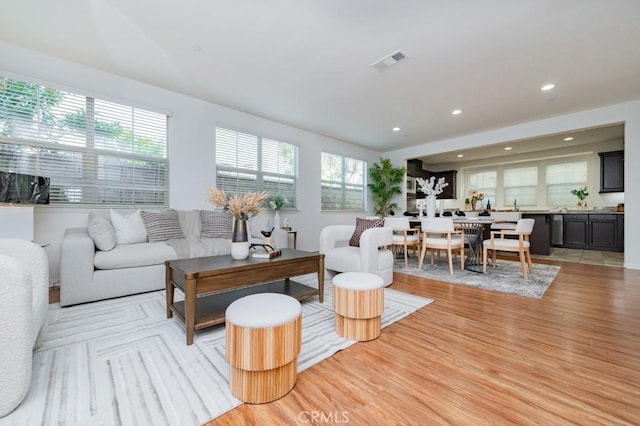 living room featuring light hardwood / wood-style flooring