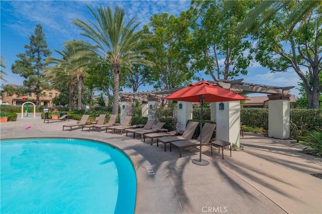 view of pool with a pergola and a patio area