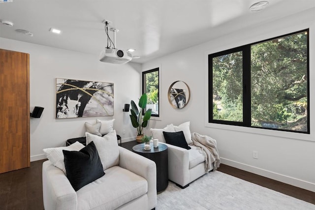 interior space featuring wood-type flooring and plenty of natural light