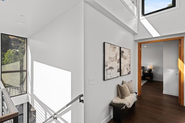 hallway with a high ceiling, a wealth of natural light, and dark hardwood / wood-style flooring