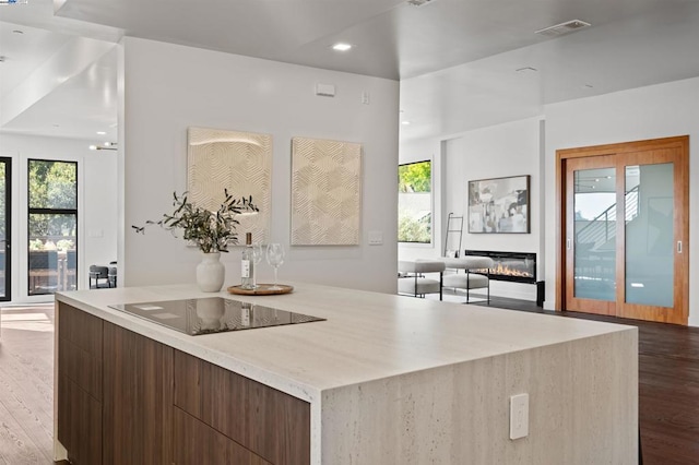 kitchen with hardwood / wood-style floors and black electric cooktop