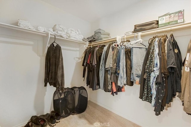 spacious closet with carpet flooring