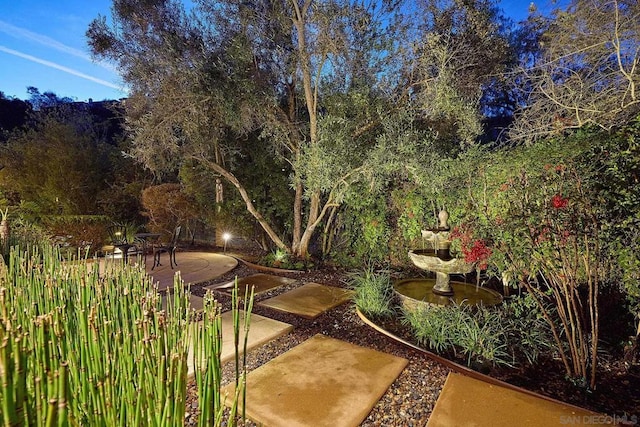 view of yard featuring a patio