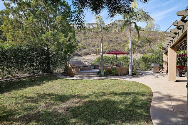 view of yard with a patio