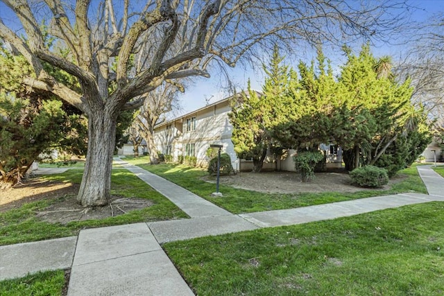 view of community featuring a yard