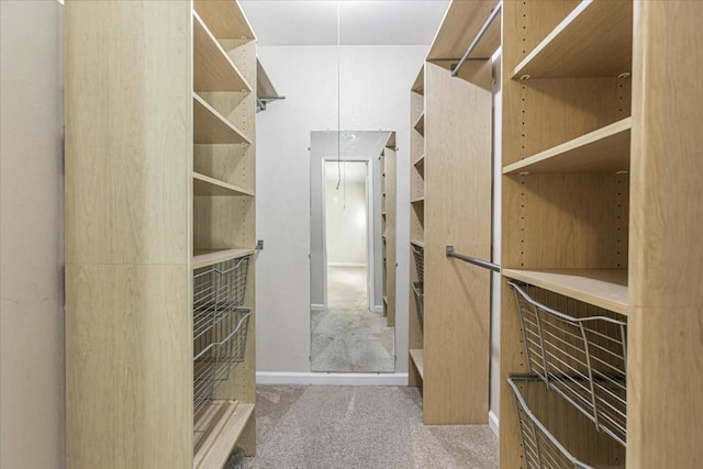 walk in closet with light colored carpet