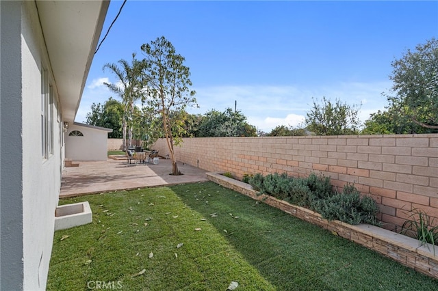 view of yard featuring a patio