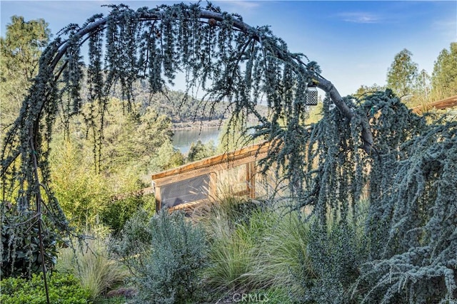 3420 Bergeson Ct, Kelseyville, CA 95451 - photo 37