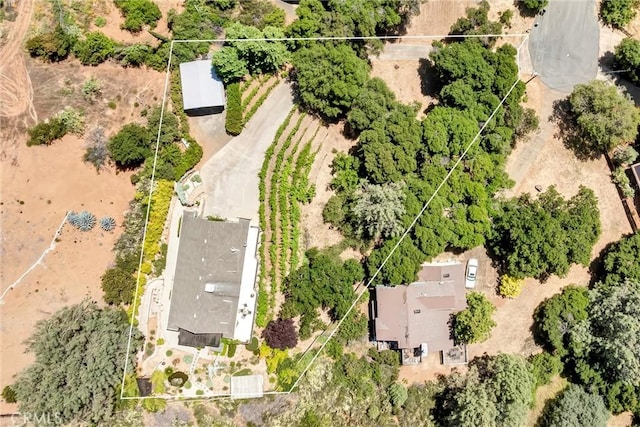 3420 Bergeson Ct, Kelseyville, CA 95451 - photo 4