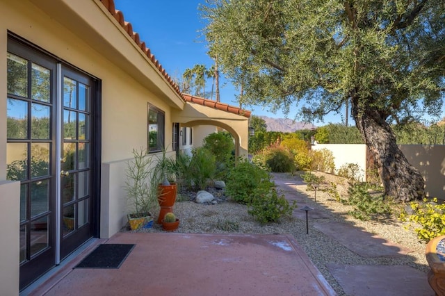 view of yard with a patio and a mountain view