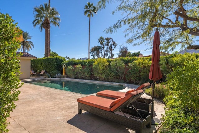 view of pool with a patio area