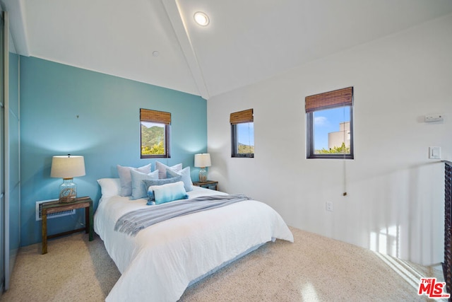 bedroom featuring vaulted ceiling