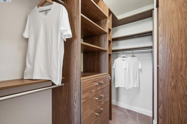 spacious closet with carpet flooring