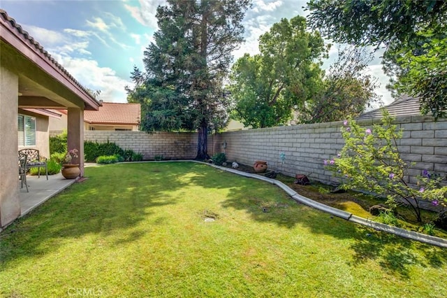 view of yard featuring a patio