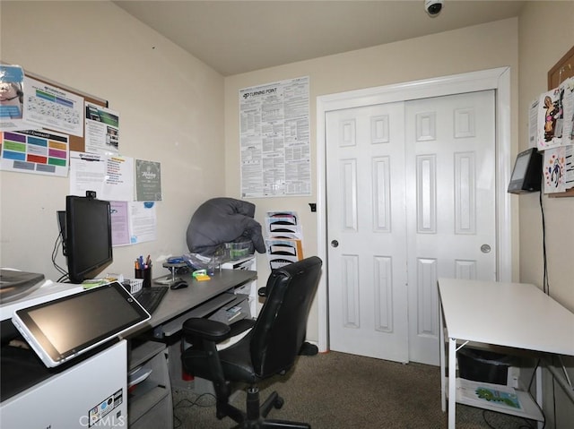 office space with carpet floors