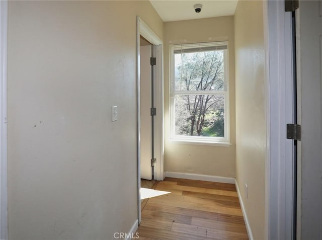 hall featuring light wood-type flooring, a wealth of natural light, and baseboards