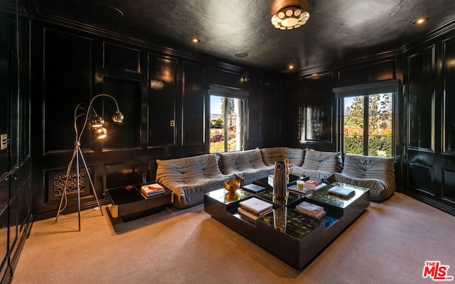 carpeted cinema room featuring a wealth of natural light