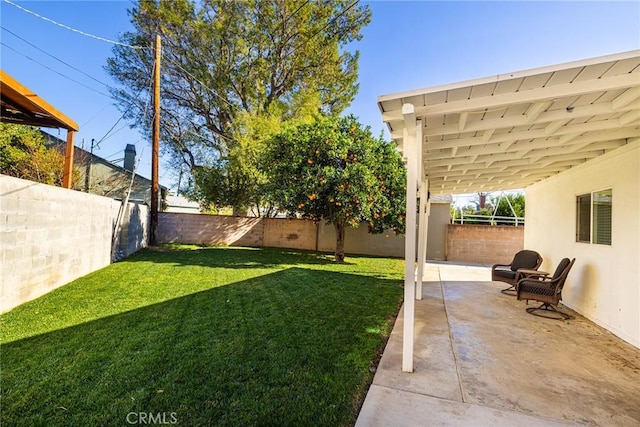 view of yard featuring a patio area