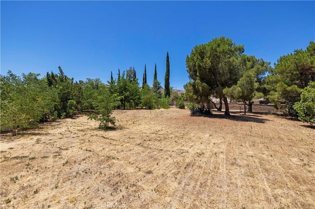 view of local wilderness featuring a rural view