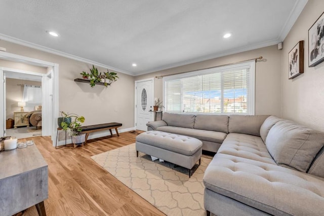 living room with hardwood / wood-style flooring and ornamental molding