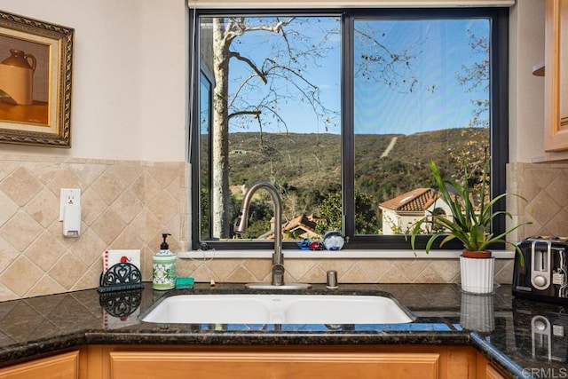 interior details with sink and dark stone counters