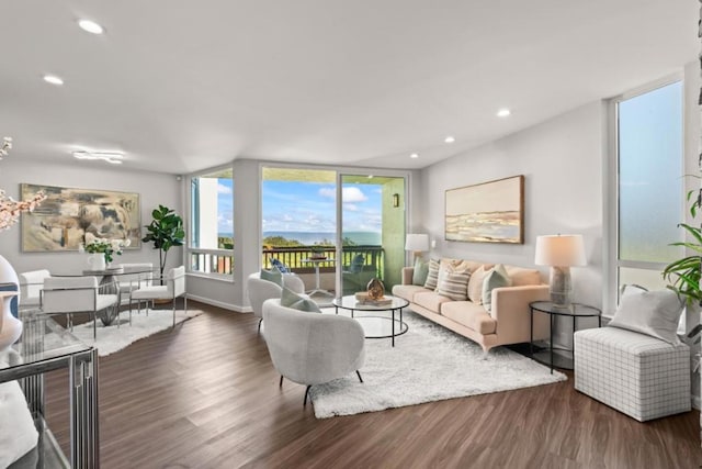 living room with dark hardwood / wood-style flooring and floor to ceiling windows