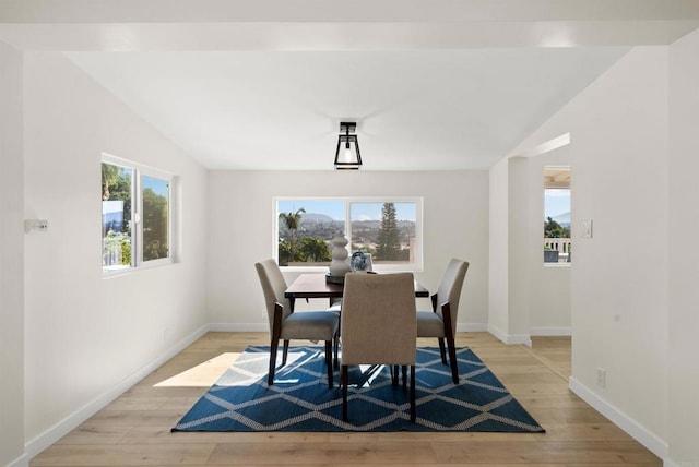 dining area featuring vaulted ceiling, plenty of natural light, and light hardwood / wood-style flooring