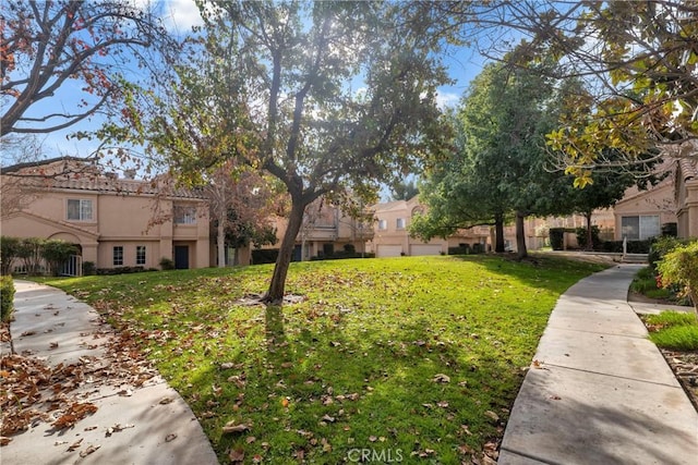 view of community with a yard