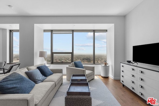 living room featuring hardwood / wood-style floors