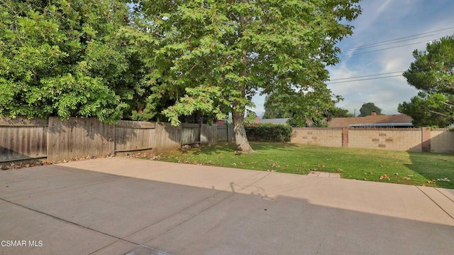 view of yard featuring a patio area