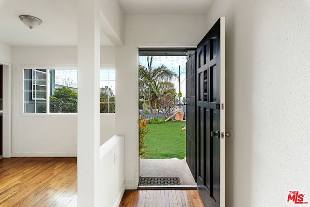 entryway with hardwood / wood-style flooring