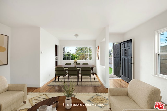 living room with hardwood / wood-style floors and plenty of natural light