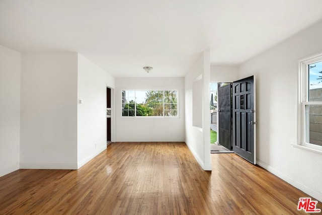 foyer with hardwood / wood-style flooring and a wealth of natural light