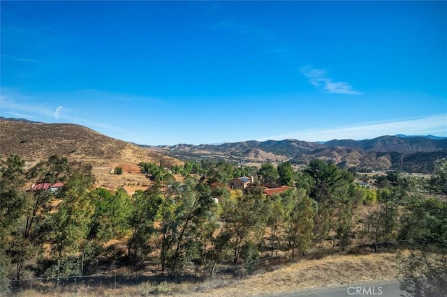 9455 Hierba Rd, Agua Dulce, CA 91390 - view of mountain backdrop
