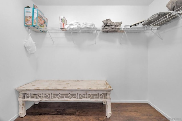 walk in closet featuring dark hardwood / wood-style flooring