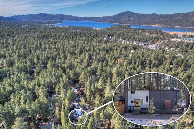 birds eye view of property featuring a water and mountain view