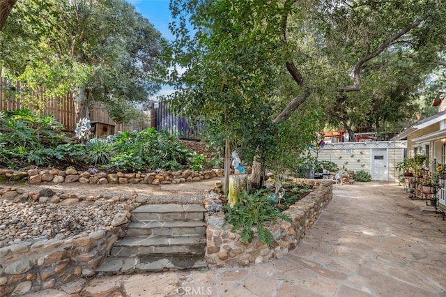 view of yard featuring a patio area