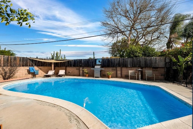 view of swimming pool with area for grilling and a patio area